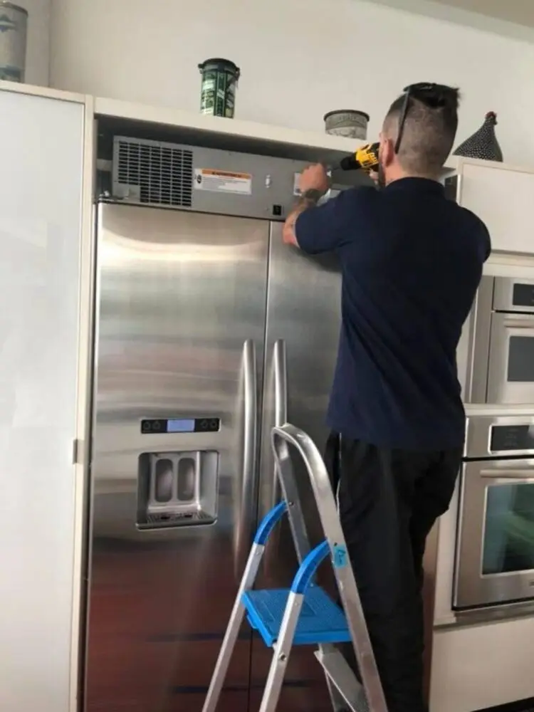 foto-luiz-774x1024 (1) (1)